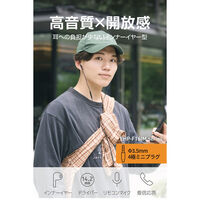 イヤホン 有線 マイク付き φ3.5mm 4極 インナーイヤー型 通話対応 高音質 EHP-F16IMBK-EC エレコム 1個（直送品）