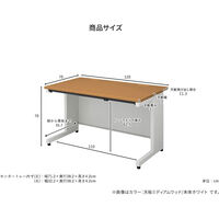プラス PLUS SH2デスク 平机 幅120cm 奥行70cm 白(WS)/白 609551 1台（直送品）