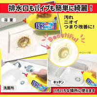 カネヨ石鹸 カネヨ パイプキング 1000g(排水パイプ用洗浄剤) 50031499 1ケース(12個入)（直送品）