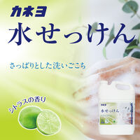 カネヨ石鹸 カネヨ 水せっけん 5L(業務用)シトラスの香り 50031503 1ケース(3個入)（直送品）