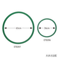 エバニュー ETE097/ビッグラバーリング(5色組) ETE097 1組（直送品）