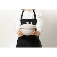 イシガキ 電子レンジ調理器 炊飯鍋 2合 シリコン製 デリッシュライフ 551303 1個（直送品）