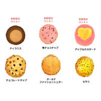 ステラおばさんのクッキー　クリスマスパーティー　１４枚　　アントステラ　クリスマス　ギフト