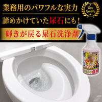 三喜工業 輝きが戻る尿石洗浄剤 300ml 4560162566401 1個（直送品）