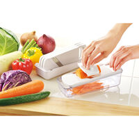 下村工業 下村野菜工房2 VSY-01 4113116 1個（直送品）