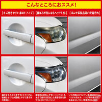 三喜工業 【業務用】輝きが戻る キズ隠しQ10 4560162565862 1セット（直送品）