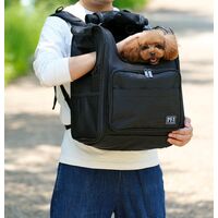 PFI キャリーバッグModern ブラック 4595124667193 1個（直送品）
