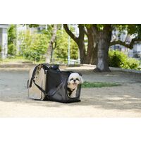 PFI キャリーバッグModern ベージュ 4595124667049 1個（直送品）
