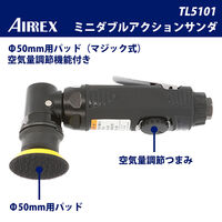 アネスト岩田 ミニダブルアクションサンダ TL5101 1台（直送品）
