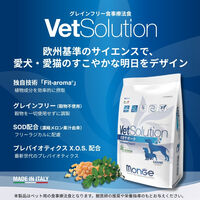 ベッツソリューション 猫用 皮膚サポート 猫用療法食 2kg 1袋 キャットフード VetSolution 正規品