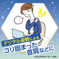 薬用 入浴剤 きき湯 ファインヒート デジケア 詰め替え 500g 1セット（1個×3） アース製薬
