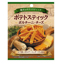 ポテトスティック ポルチーニｘチーズ 1セット（1個×6） 食べ切り菓子 スナック おつまみクリート