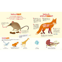 パイ インターナショナル 動物のうんちえほん 5470 1冊（直送品）