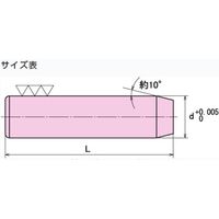 大喜多 ダウエルピン DP-B 6X60 DPB-060060 1セット(30本)（直送品）