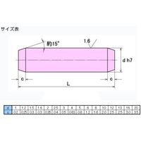 大喜多 平行ピン B種 SUS303 13X50 SPB-A1-130050 1セット(5本)（直送品）