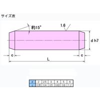 大喜多 平行ピン B種 SUS316 2X8 SPB-A4-020008 1セット(25本)（直送品）