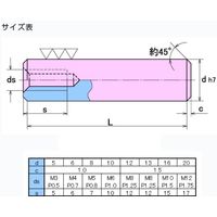 大喜多 内ネジ付き平行ピン h7 S45C-Q 20X55 SPTh7-Q-200055 1セット(5本)（直送品）