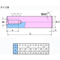 大喜多 内ネジ付き平行ピン h7 SUS303 8X40 SPTh7-A1-080040 1セット(10本)（直送品）