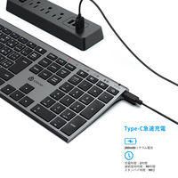 キーボード ワイヤレス Bluetooth テンキー付/JIS配列/パンタグラフ/超薄型 IC-BK23-GB iClever