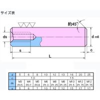 大喜多 内ネジ付き平行ピン m6 S45C-Q 16X120 SPTm6-Q-160120 1セット(5本)（直送品）