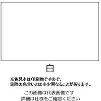 エスコ 3.0L [水性]多目的塗料(建物用/白) EA942EA-31 1缶（直送品）