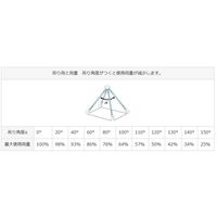 エスコ 1.0 tonx2.0m 金具付スリング(1本懸け) EA981EB-2A 1本（直送品）
