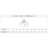 エスコ 2.0 tonx1.5m 金具付スリング(2本懸け) EA981FD-22A 1本（直送品）