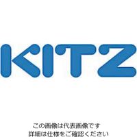 エスコ 3/8” リフトチャッキバルブ EA465AE-3 1個（直送品）