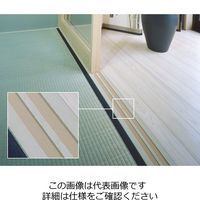 エスコ 21mmx20m 滑走テープ EA934SC-21 1セット(3巻)（直送品）