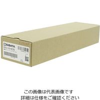 柴田科学 粘度計 キャノン・フェンスケ SO No.150 026110-0035 1個 61-4415-36（直送品）