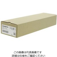 柴田科学 粘度計 キャノン・フェンスケ SO No.450 026110-25 1個 61-4415-42（直送品）