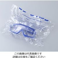 アズワン 異物混入防止保護メガネ SCC SN-727PET-AF 1個 1-028-01