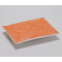 白光 空気清浄式吸煙器 プレフィルター(10マイ)A1572 1個(10枚) 1-3678-13（直送品）