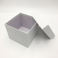 アズワン 遠沈管用フリーズボックス 本体・フタ 1箱(10組入) HS2860M 1箱(10組) 2-3962-01（直送品）