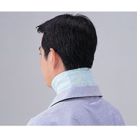 アズワン ソフトクールン(保冷枕)ミニ 0-1614-01 1箱(2個入)