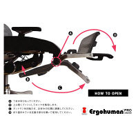 【軒先渡し】 エルゴヒューマン プロ オットマン内蔵 オフィスチェア エラストメリックメッシュ 肘付 ダークグリーン EHP-LPL 1脚（直送品）