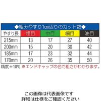 エスコ 170mm やすり(平・半丸・丸=3本組/中目) EA521TA-3A 1セット(3セット)（直送品）