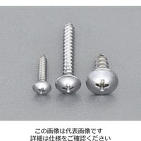 エスコ 2ー6mm トラス頭タッピングビスセット(ステンレス製) EA949AL-31 1セット（直送品）