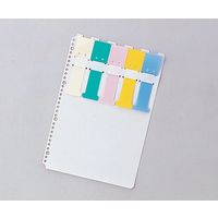 サンリーフ カラーシグナル A4、2・4・30穴 10枚入 SK-455 1袋(10枚) 0-5320-01（直送品）