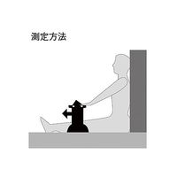 竹井機器工業 デジタル長座体前屈測定計 T.K.K5412 1台 0-9567-01（直送品）