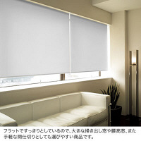 ニチベイ　ロールスクリーン　エコノミータイプ【防炎】　幅1480mm×高さ1600mm　操作方式：スプリング式　ライトグレイ(PN148)　（直送品）