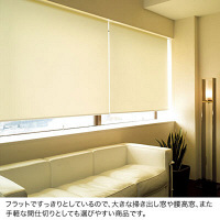 ニチベイ　ロールスクリーン　エコノミータイプ【防炎】　幅1560mm×高さ1600mm　操作方式：スプリング式　ベージュ(PN117)　（直送品）