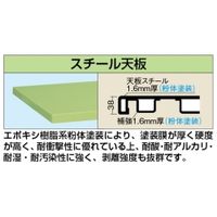 超重量作業台(KWCタイプ/均等耐荷重2000kg/スチール天板/H740mm/固定式/移動式/キャビネット付) KWCSー12A 1台（直送品）