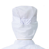 KAZEN 八角帽子(オールメッシュ)484-49 ホワイト F(2枚入り) 484-49-F*2 1個(2枚入)