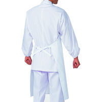 KAZEN（カゼン） 胸当てエプロン（首掛け式） ホワイト F 486-50 2枚入（直送品）