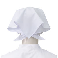 KAZEN 477-30 M ホワイト（10枚入り） 477-30 M 1袋（10枚入）