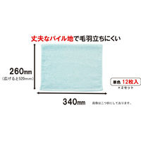 山崎産業 コンドル じょうぶおそうじタオル グリーン 4903180604180 1セット(1袋(12枚)×2)