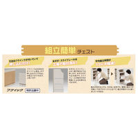 白井産業 チェスカ 組立簡単チェスト ブラウン 高さ133cm 幅28cm（直送品）