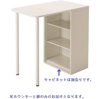 フラットラインストレージ（高さ1100mm）専用サイドカウンター　メープル　プラス　（直送品）