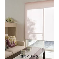 タチカワブラインド　ロールスクリーン　TIORIO（ティオリオ）　アイボリー（TR126）　幅1700mm×高さ2200mm　（直送品）